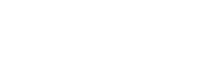 PayPal PayPal
